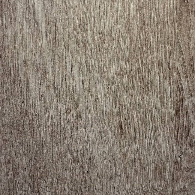 вяз палермо