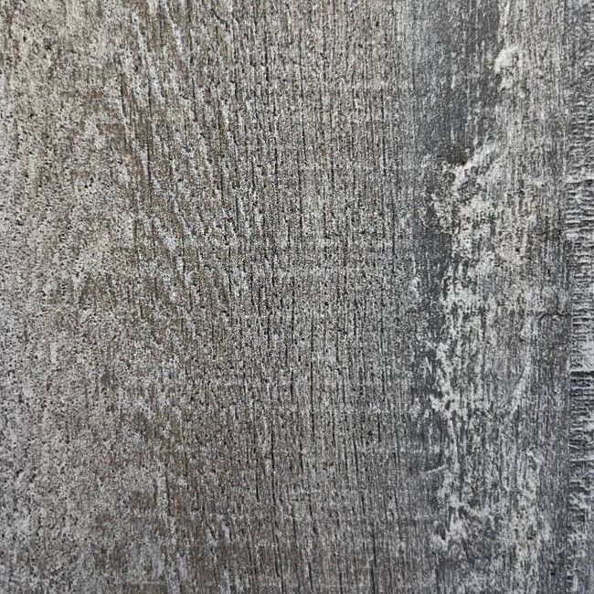 дуб северный